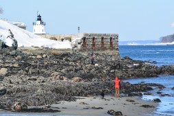 Wintery Willard Beach