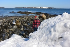 Wintery Willard Beach