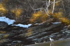 The snow is melting at Saccarappa falls