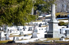 A duckload of ducks at Evergreen Cemetery