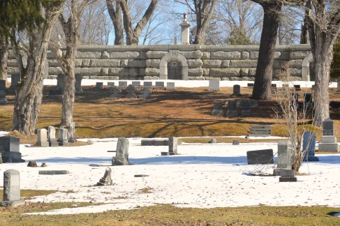 A duckload of ducks at Evergreen Cemetery