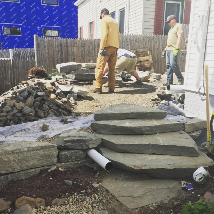 Taking New Steps
