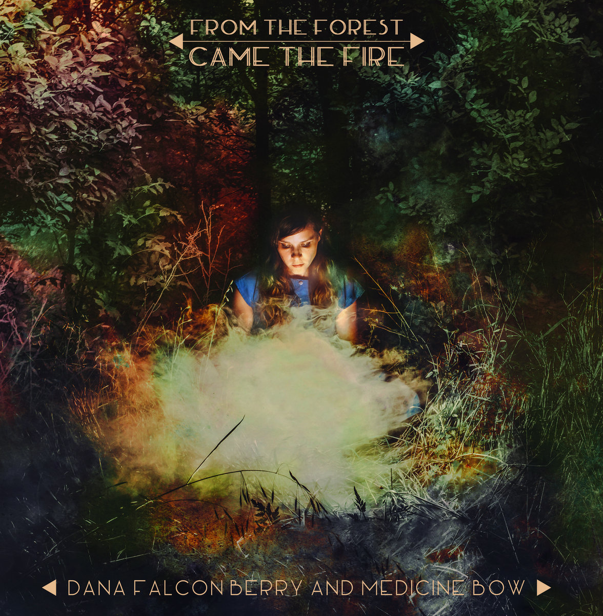 From the Forest Came the Fire by dana falconberry