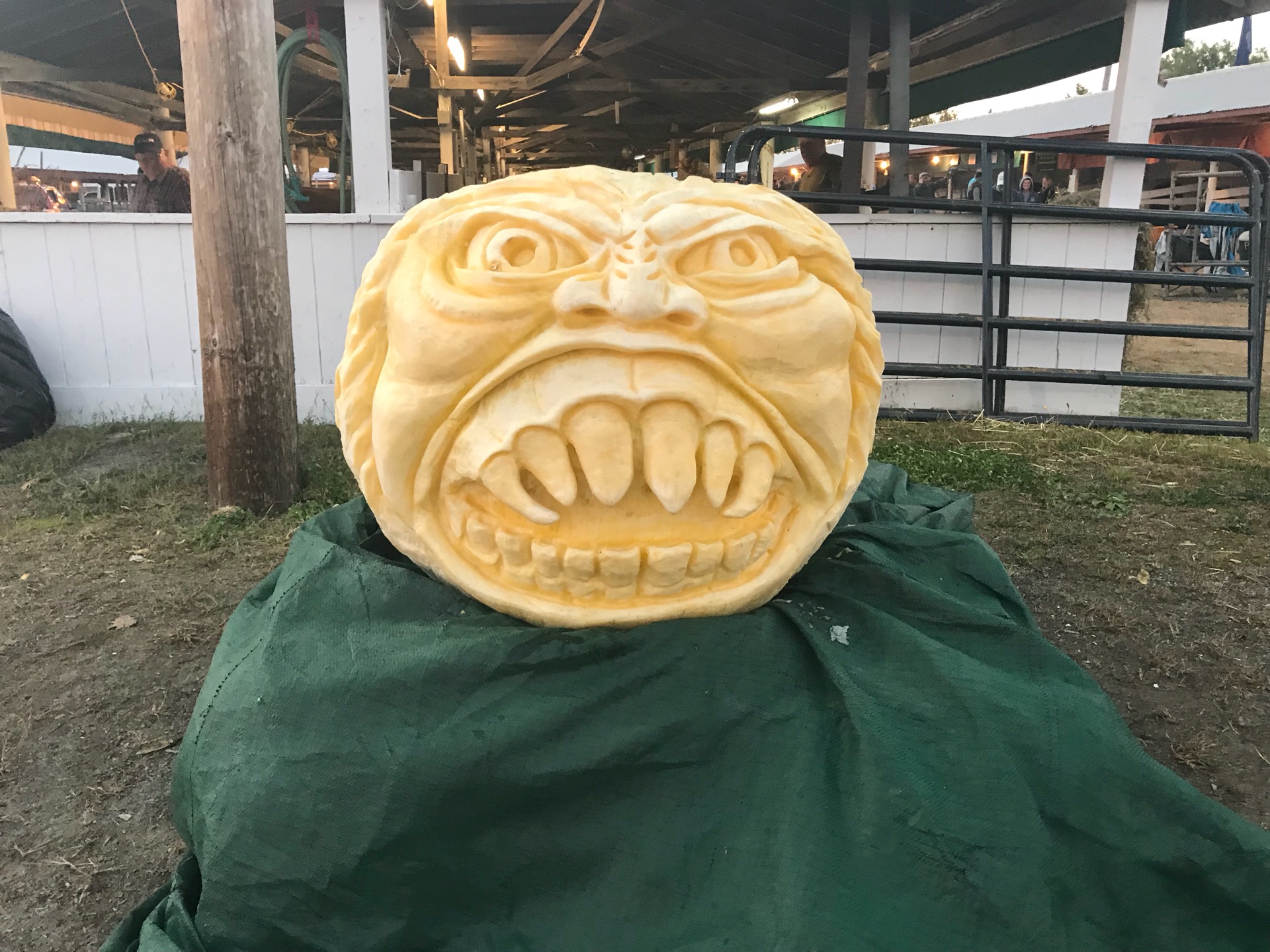 Checked in at Cumberland Fairgrounds