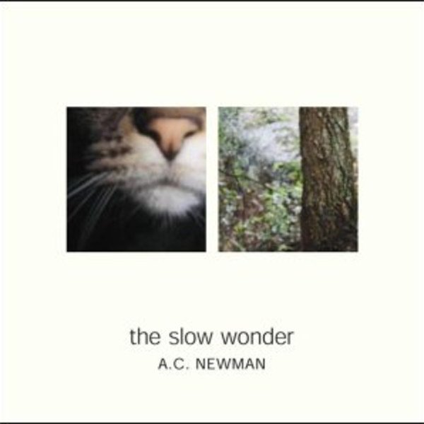 The Slow Wonder by A.C. Newman