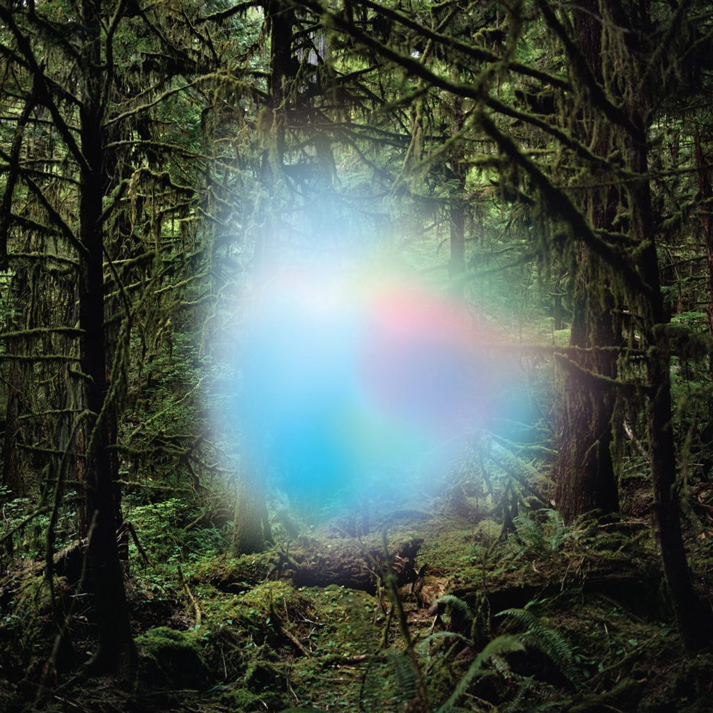 Ghosts of the Forest by Trey Anastasio