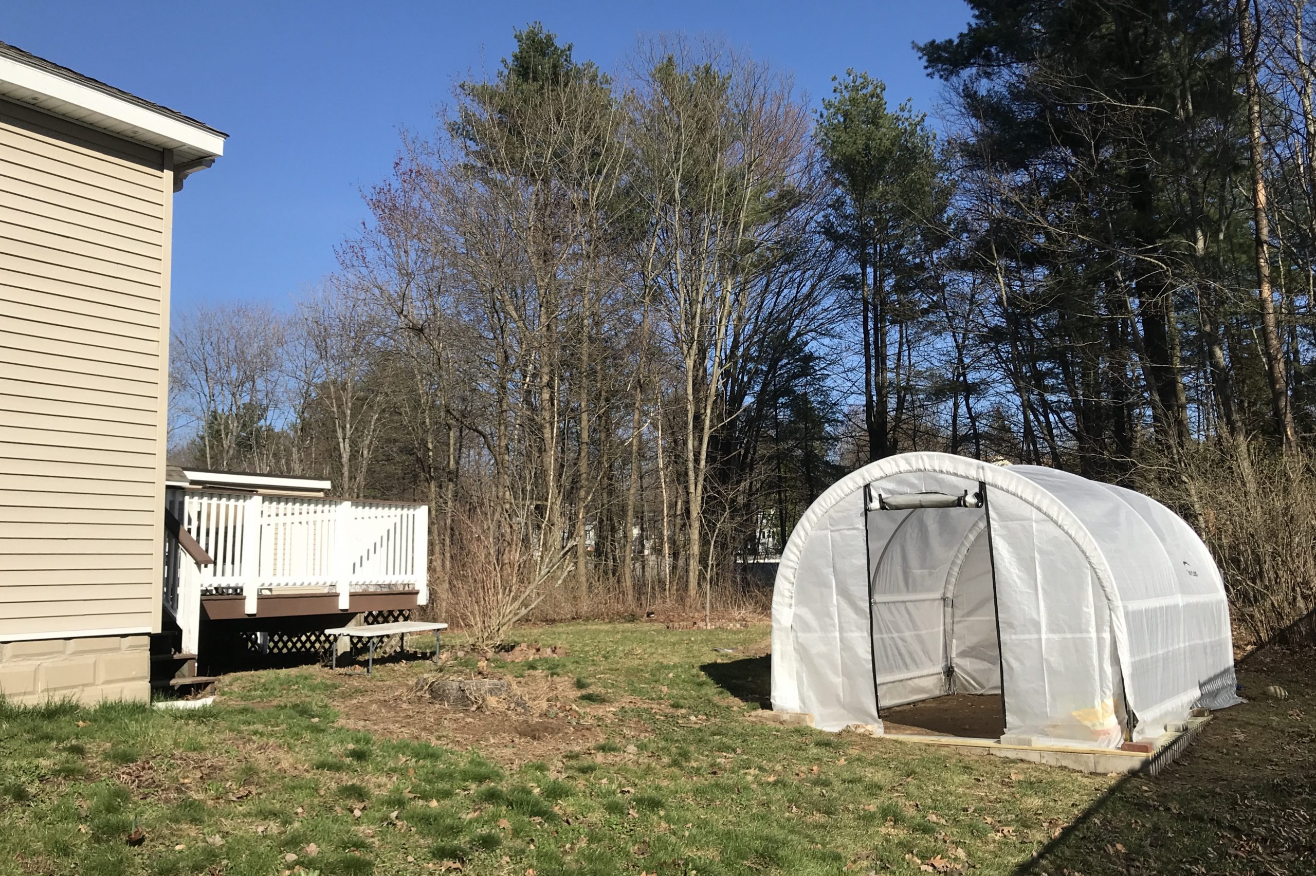 Backyard Greenhouse